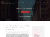 Domestic Violence Defense