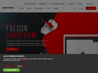 Falcon Endpoint Protection Platform (EPP) | CrowdStrike
