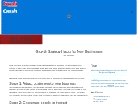 Crush Digital - Growth Strategy Hacks for New Businesses - Crush Digit