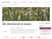 Wilde bloemen en planten | Cruydt-Hoeck