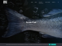Frozen Fish Suppliers, Exporters - CTLE Seafood, Inc.
