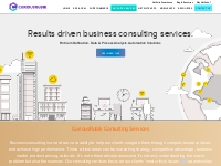 NetSuite Business Consulting   Analysis Services