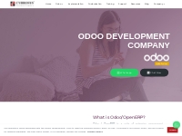 Odoo Development Company | Odoo ERP Services | Cybrosys