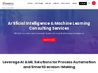 AI   ML Services, Consulting   Development | Damco Solutions