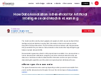 Importance of Data Annotation for AI and ML