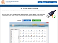 Data recovery for removable media software flash drive restore program