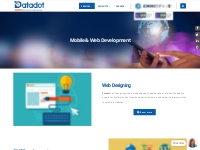 Mobile   Web Development - Datadotlabs