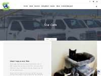 Meet Our Cats, Copper and Fibre. | Data Wiring Solutions