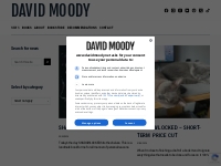 Latest News - David Moody