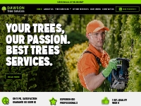 Tree Removal, Trimming, and Arborist Services in Melbourne