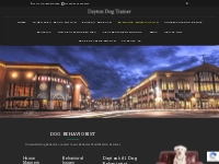  Behavior Modification - Professional Dog Behaviorist in Dayton   WPAF