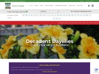Quality Daylilies and Irises in Australia - Decadent Daylilies Nu