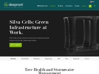 Silva Cell Tree and Stormwater Management System | DeepRoot