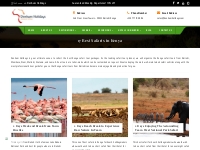  17 Best Safaris in Kenya | Tailor-Made Safari Tour Packages
