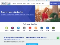 Ecommerce Website Development Company in Noida, Delhi, India | Ecommer