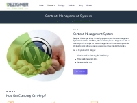 Content Management System in Chicago 🇺🇸 | Best CMS Company United Stat