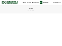 Blog | DG Cleaning   Carpet Care, LLC of Naples, FL