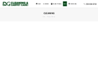 Cleaning | DG Cleaning   Carpet Care, LLC of Naples, FL