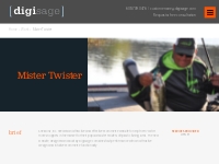 eCommerce Website - Mister Twister - DigiSage, Inc.