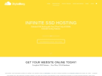 Unlimited SSD Web Hosting with free cPanel - DigitalBerg