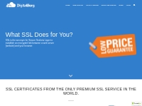 Cheap SSL Certificates from GeoTrust, Comodo   Rapid