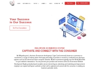 Top Ecommerce Website Development, Florida | Digital Marketing Concept