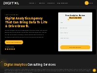 Analytics Agency: Leading Web   Digital Analytics Consulting