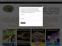 Quality Fossil & Mineral Specimens | DINOSAURS ROCK SUPERSTORE