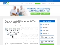 Paternal Lineage DNA Test | Ancestral Lineage DNA Testing