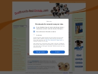 Dog Breeds - All Dog Breeds - All about Doggie