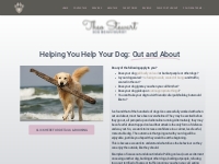 Help you help your dog: Out and About - Theo Stewart - Dog Behaviouris