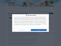 Do You Need Dog Insurance? | Dog Insurance