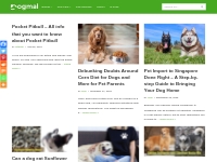 Dogmal - All information about dogs. Dog Breed, Foods, Healths, Care.