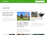 Dog breed Archives - Dogmal %