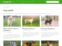 Dog Health | Pure   Crossbreeds Health Care