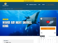        Manta Ray Night Snorkel Kona, HI | Dolphin Discoveries