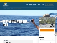        Whale Watch Charter in Kona, HI | Dolphin Discoveries