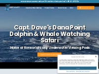        Dana Point Whale Watching | Save 24% | Capt. Dave’s 5-Star