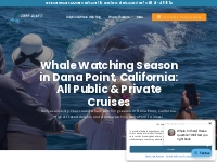        Whale Watching Season Dana Point California | Capt. Dave’s