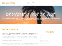 Downey Tree Care and Tree Service Serving Downey, CA and surrounding a