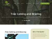 Tree Cabling and Bracing | Tree Cabling Service in Flat Rock, MI