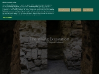 The Viking Excavation | Dublin Castle