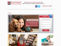 Dupont Circle Carpet Cleaning Blog | Tips   Info