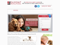 Pet   Stain Removal Services | Dupont Circle DC