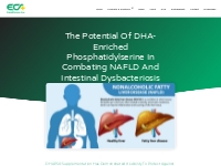 DHA-Enriched PS Combating NAFLD   Intestinal Dysbacteriosis