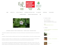 Ecology Surveys and Tree Surveys BS5837 - Hampshire, Dorset, Somerset,