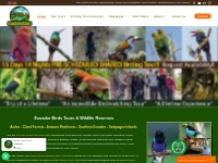 Ecuador Birds Tours | Quito Day Tours | Birding Tours Ecuador.