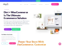 Ecommerce Website Builder For WordPress -- Build Your Store With Divi