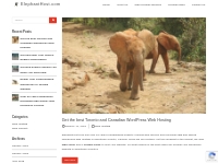 Web Hosting Archives - ElephantHost.com