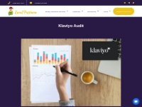 Klaviyo Audit